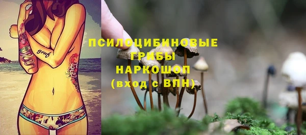 бошки Алексеевка