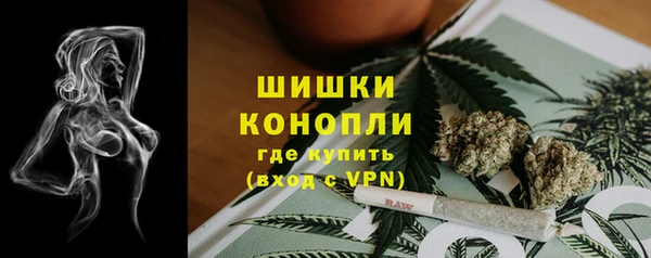 твердый Алексин