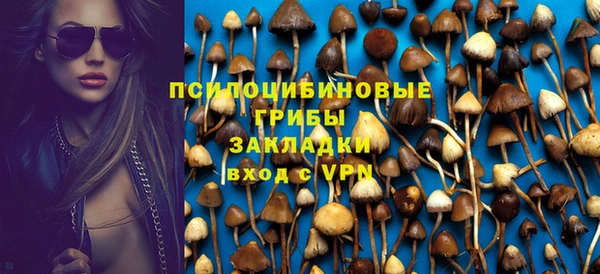 твердый Алексин