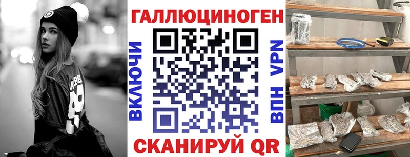 Псилоцибиновые грибы Psilocybine cubensis Тверь
